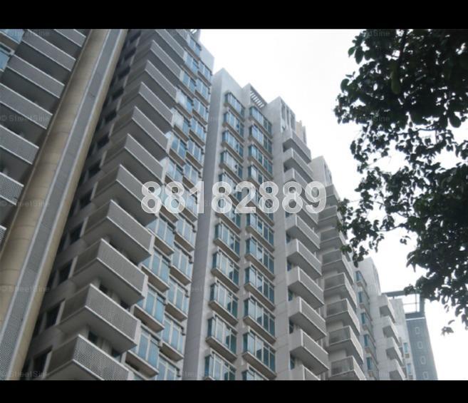 Cairnhill Crest (D9), Condominium #167600492